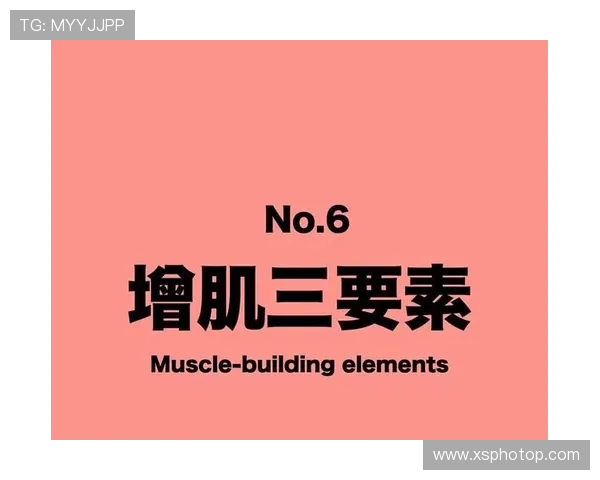 打造健康身心的全方位健身指南：从基础训练到饮食调整，让你轻松塑形提高体能