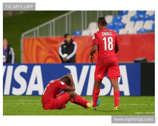 绿茵赛场激情绽放全球足球盛宴点燃无尽青春梦想 绿茵赛场激情绽放全球足球盛宴点燃无尽青春梦想