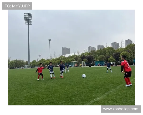 南京足球队实力强劲荣登全国足球实力排行榜第二名