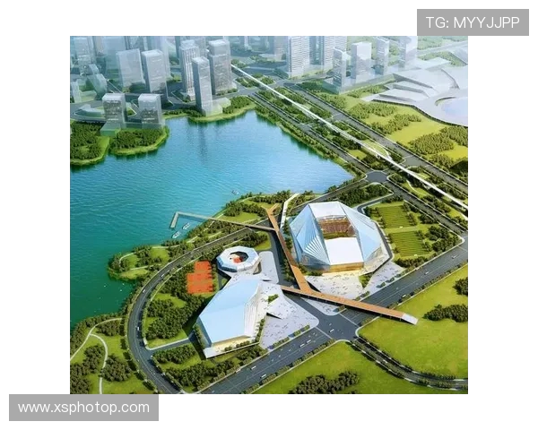 武汉足球队运营模式解析与发展前景展望