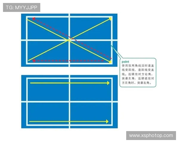 深圳乒乓球队战术解析与未来发展方向的深度探讨