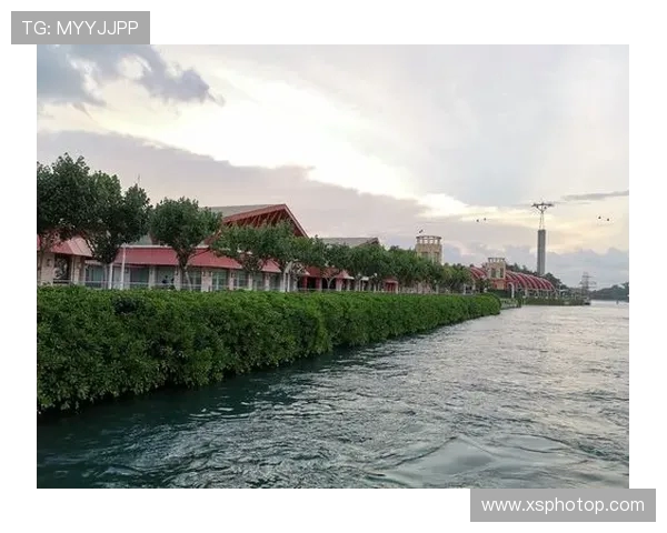 深圳街舞队比赛经验分析与表现评估研究报告