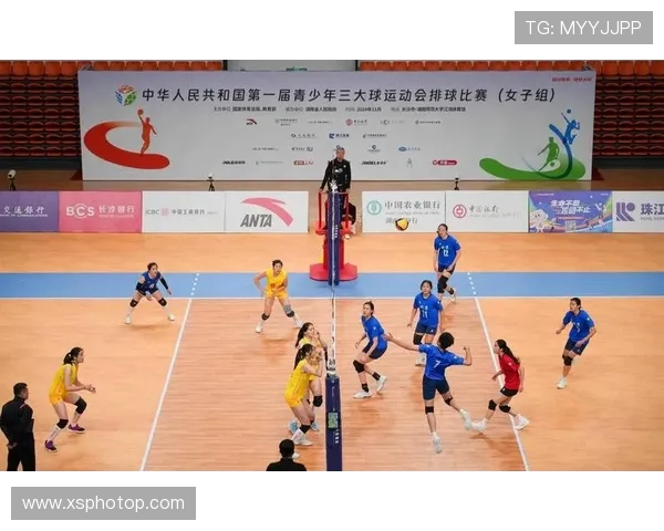 西安排球队的拼搏之路：一段关于排球的奋斗与荣耀的真实纪实